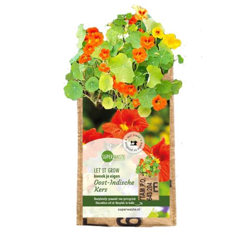 Hængehave - Billede 3